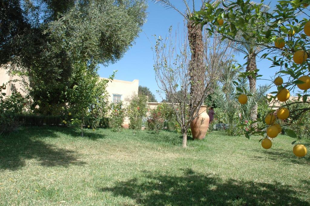 Gallery image 4