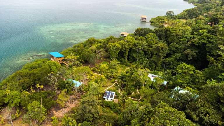 Roam Yoga & Wellness
