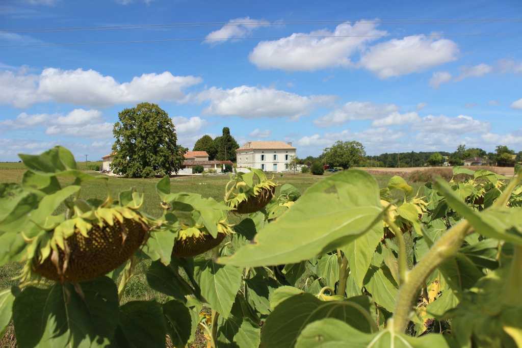 Venue cover photo
