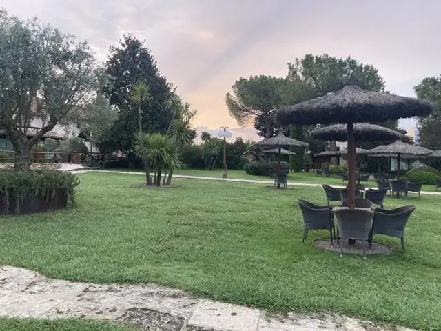 Aqai tree garden