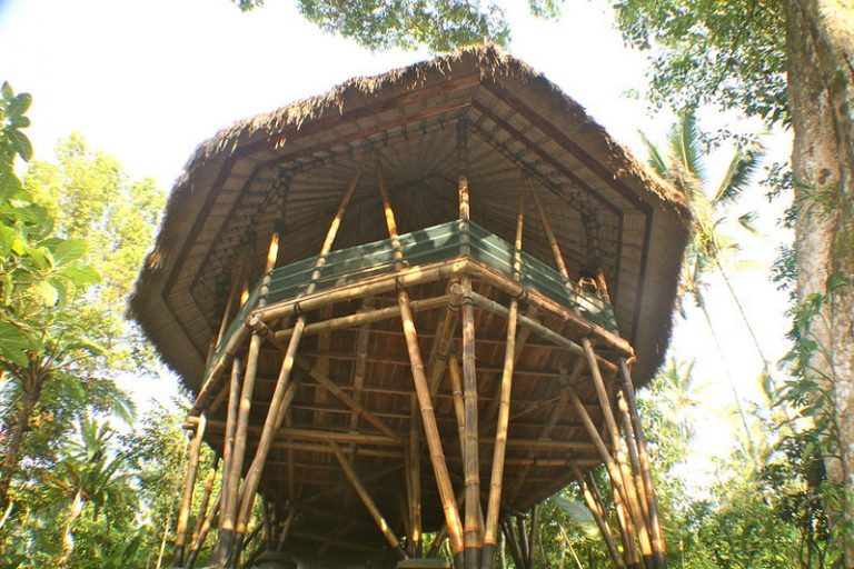 Gallery image 1